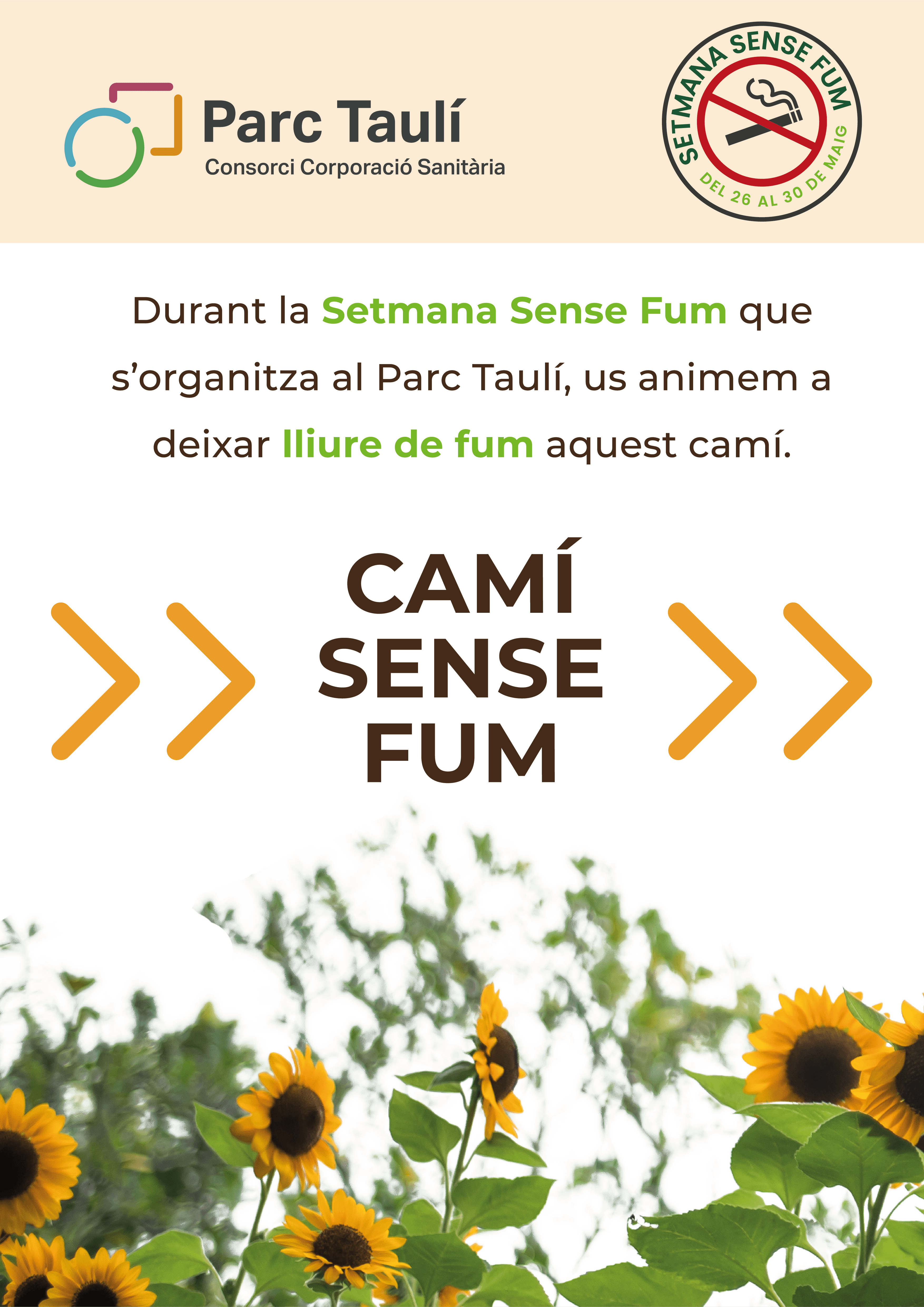 camí sfum1